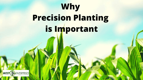 Why Precision Planting is Important